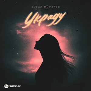 Вусал Мирзаев. «Украду»