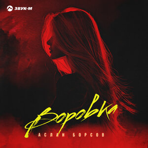 Аслан Борсов. «Воровка»