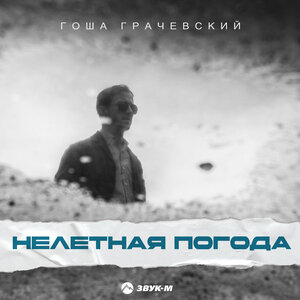 Гоша Грачевский. «Нелетная погода»