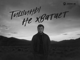 Шамиль Кашешов. «Тишины не хватает»