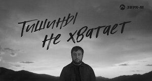 Шамиль Кашешов. «Тишины не хватает»