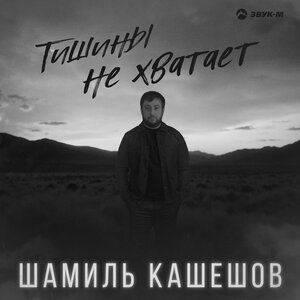 Шамиль Кашешов. «Тишины не хватает»