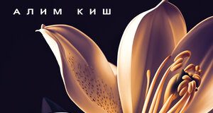 Алим Киш. «Лилия»