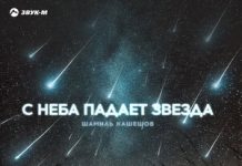 Шамиль Кашешов. «С неба падает звезда»