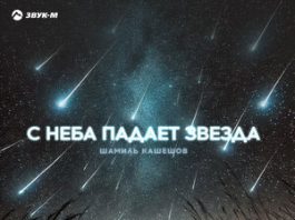Шамиль Кашешов. «С неба падает звезда»