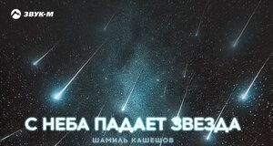 Шамиль Кашешов. «С неба падает звезда»