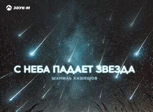 Шамиль Кашешов. «С неба падает звезда»