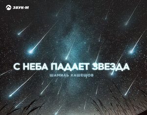 Шамиль Кашешов. «С неба падает звезда»