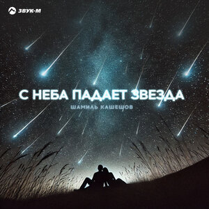Шамиль Кашешов. «С неба падает звезда»