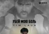Tim Laur. «Убей мою боль»