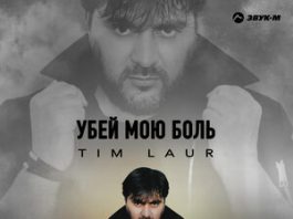 Tim Laur. «Убей мою боль»