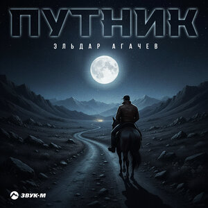 Эльдар Агачев. «Путник»