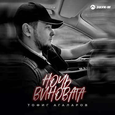 Тофиг Агаларов. «Ночь виновата»